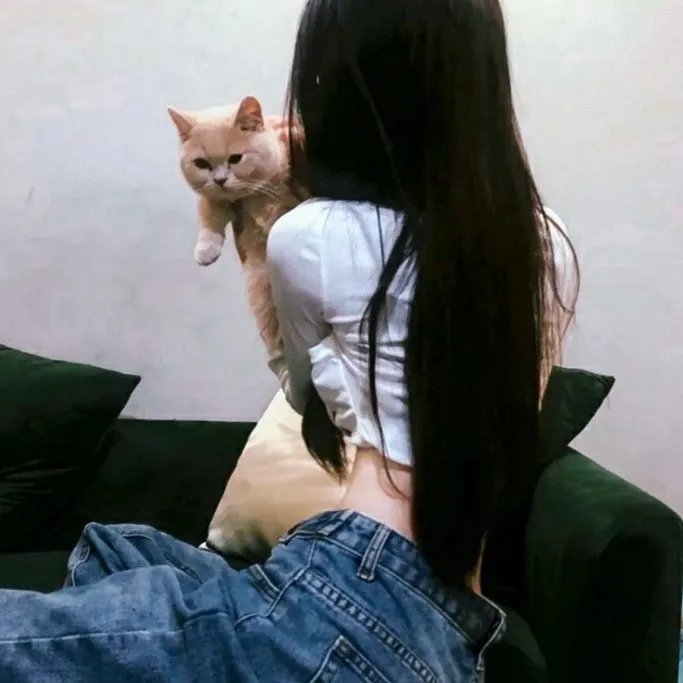 新东京猫猫